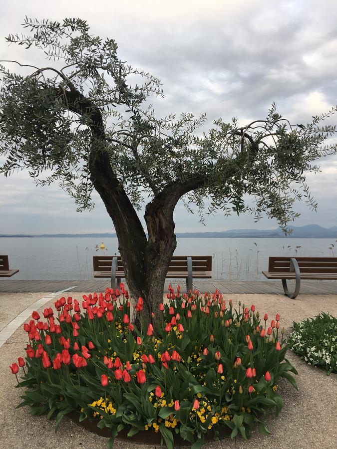 Caba Holiday Bardolino D'Annunzio Eksteriør billede