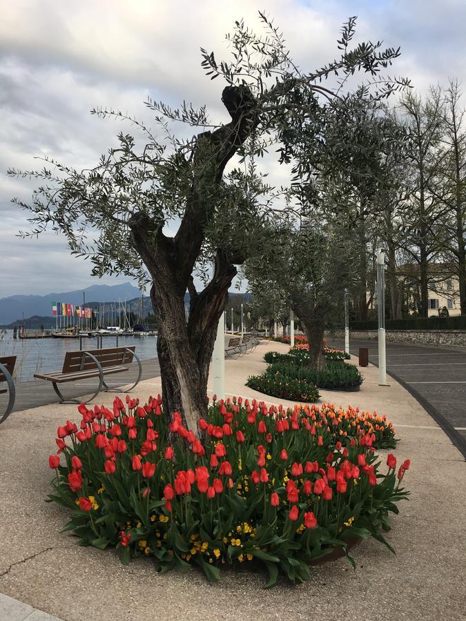 Caba Holiday Bardolino D'Annunzio Eksteriør billede